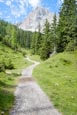 Thumbnail image of Seebenalm footpath to the Seebensee with the Sonnenspitze Mountain Peak, Ehrwald, Tyrol, Austria