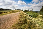 Thumbnail image of Cannock Chase - Castle Ring, Staffordshire