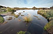 Thumbnail image of The Roaches, Doxey Pool   Staffordshire Moorlands