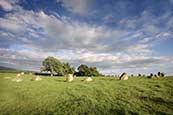 Thumbnail image of Long Meg and Her Daughters Stone Circle, Cumbria