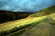 Thumbnail image of Howden Moor, Cold Side, Derbyshire