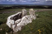 Thumbnail image of Five Wells Chambered Cairn, near Taddington, Derbyshire