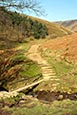 Thumbnail image of Grindsbrook path to Kinder, Derbyshire