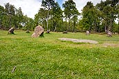 Thumbnail image of Nine Ladies Stone Circle, Stanton Moor, Derbyshire