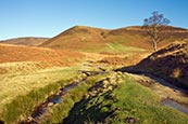 Thumbnail image of Howden Moor, view towards Littlemoor, Derbyshire