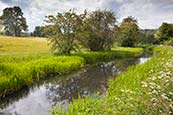 Thumbnail image of Cromford Canal, Derbyshire, England