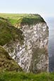 Bempton Cliffs, East Riding Of Yorkshire