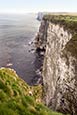 Thumbnail image of Bempton Cliffs, East Riding of Yorkshire