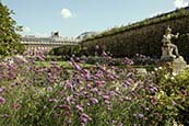 Jardin Du Palais Royal,  Paris