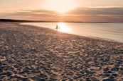 Thumbnail image of Beach in Prerow, Darss, Mecklenburg-Vorpommern, Germany