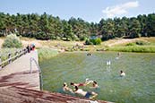 Thumbnail image of Swimming area on Feisnecksee, Waren, Müritz, Mecklenburg Vorpommern, Germany