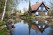 House And Canal In Lehde, Spreewald, Brandenburg, Germany