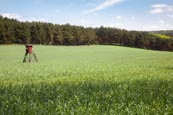 Farmland With Hunting Platform In Hoher Fläming National Park, Near Bad Belzig, Brandenburg, Germany