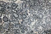 Thumbnail image of orbicular granite  