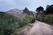Footpath In The La Murta Valley Leading To Santa Maria De La Murta Monastery Near Alzira, Valencia, 