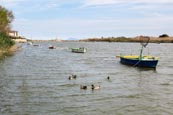 Thumbnail image of Fishing boats at La laguna del Estany, Cullera, Valencia, Spain