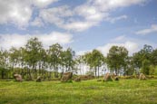 Thumbnail image of Nine Ladies Stone Circle, Stanton Moor, Derbyshire, England