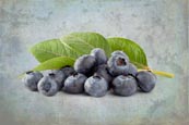 Thumbnail image of fresh blueberries on a grungy textured background