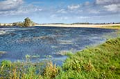 Thumbnail image of Kap Arkona viewed over landscape near Putgarten, Ruegen, Mecklenburg Vorpommern, Germany