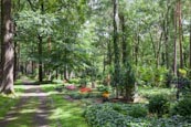 Waldfriedhof Zehlendorf, Berlin, Germany