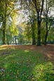 Autumn Trees At Hohenlandin, Uckermark, Brandenburg, Germany