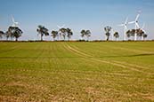 Wind Turbines And Trees On Horizon, Near Pinnow In The Uckermark, Brandenburg, Germany