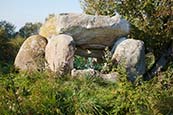 Murow Dolmen, Near Angermuende, Uckermark, Brandenburg, Germany