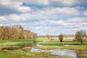 Oder Valley By Neuzelle, Brandenburg, Germany