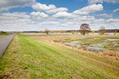 Oder Valley With Cycle Path And Dyke, Brandenburg, Germany