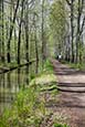 Canal And Path Near Leipe, Spreewald, Brandenburg, Germany