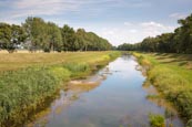 Schwarze Elster Near Elsterwerda, Brandenburg, Germany