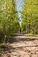 Berlin Wall Trail Near Lichtenrade, Brandenburg