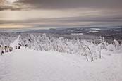 Thumbnail image of Ski and walking trail by Fichtelberg, Oberwiesenthal, Saxony, Germany