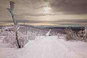 Thumbnail image of Ski and walking trail by Fichtelberg, Oberwiesenthal, Saxony, Germany