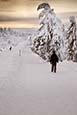 Ski And Walking Trail By Fichtelberg, Oberwiesenthal, Saxony, Germany