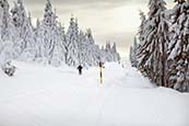 Thumbnail image of Ski and walking trail by Fichtelberg, Oberwiesenthal, Saxony, Germany